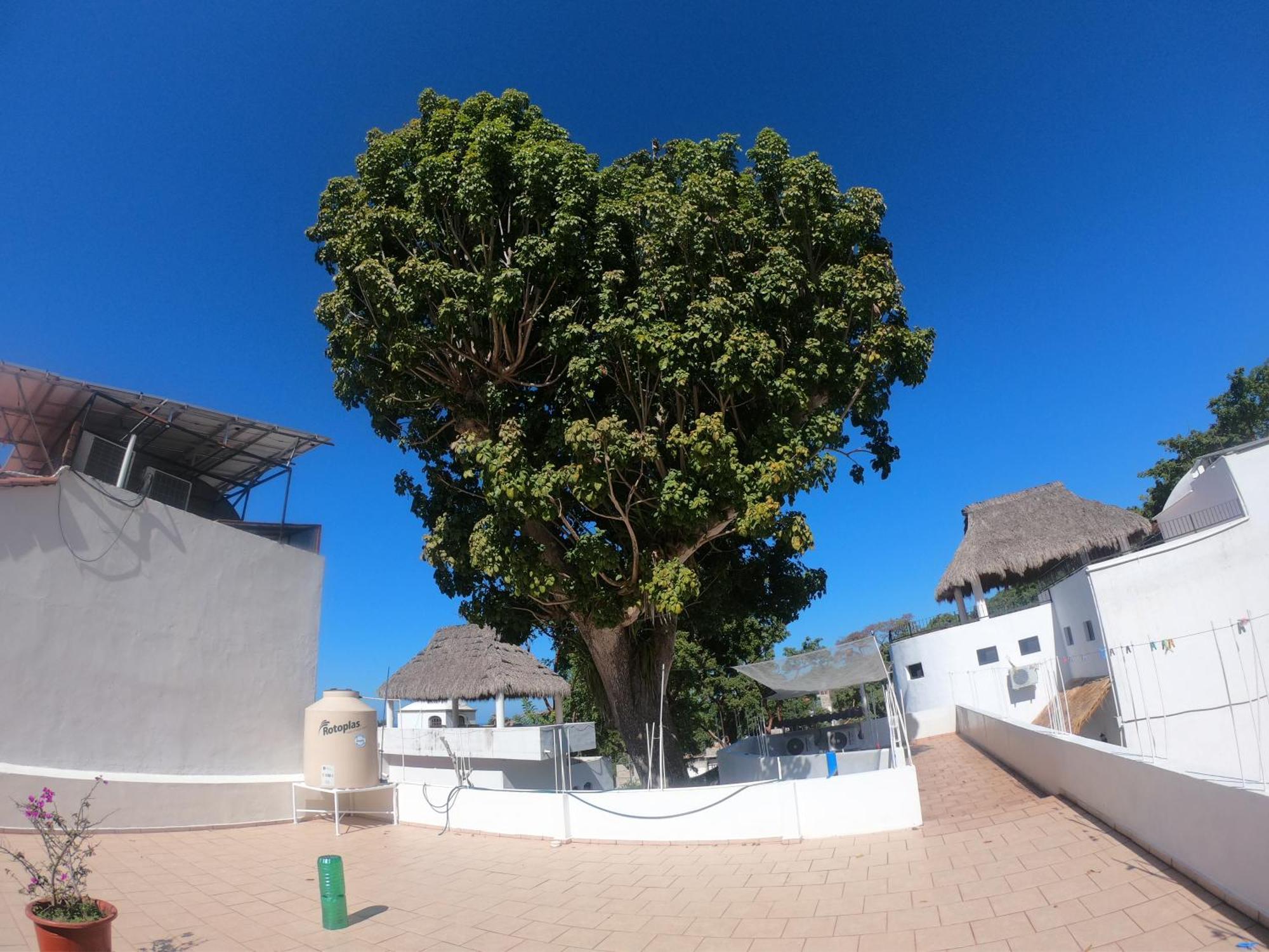 Casa Arbol De Paz Habitacion Doble 恰卡拉 外观 照片
