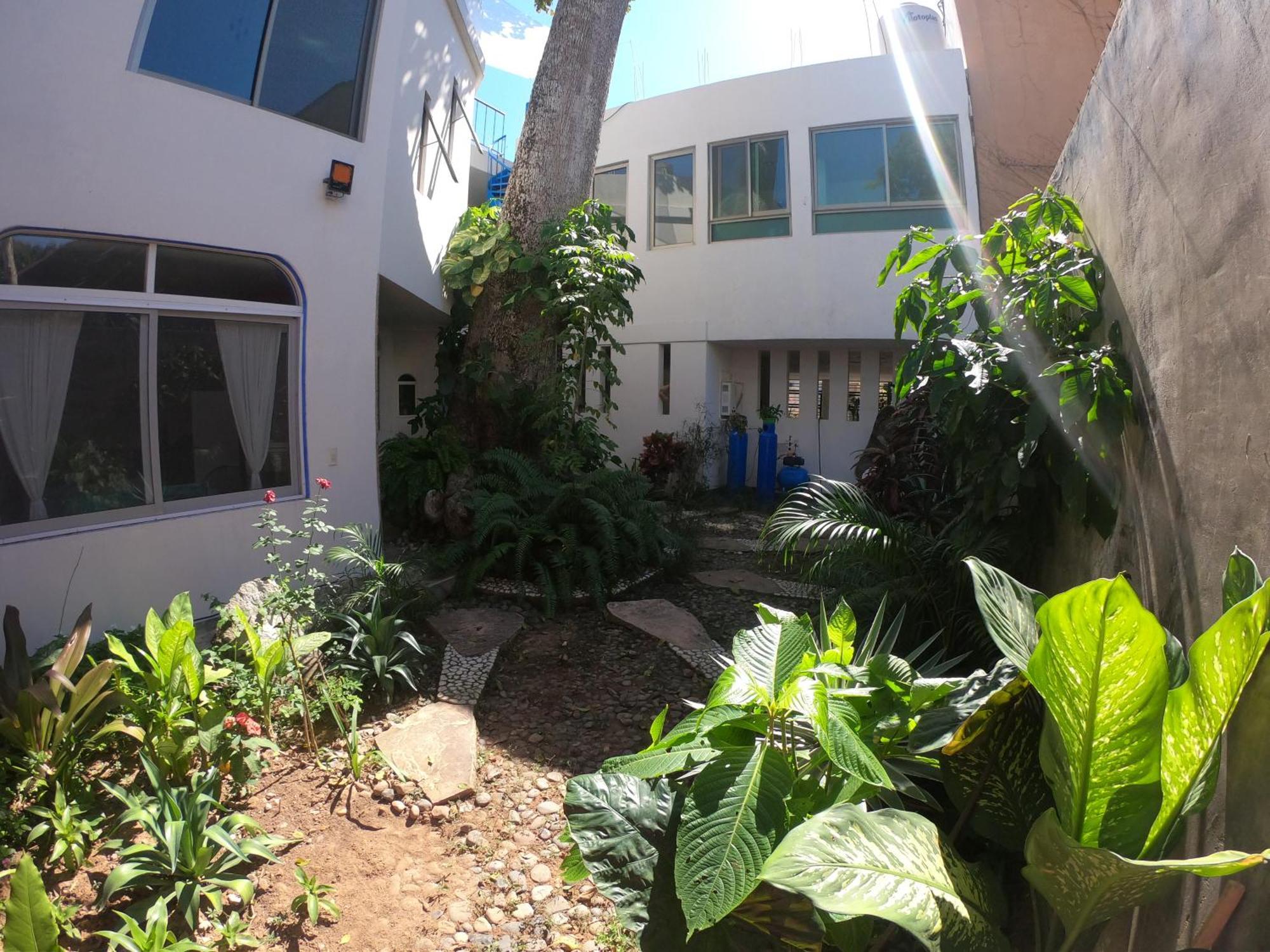 Casa Arbol De Paz Habitacion Doble 恰卡拉 外观 照片