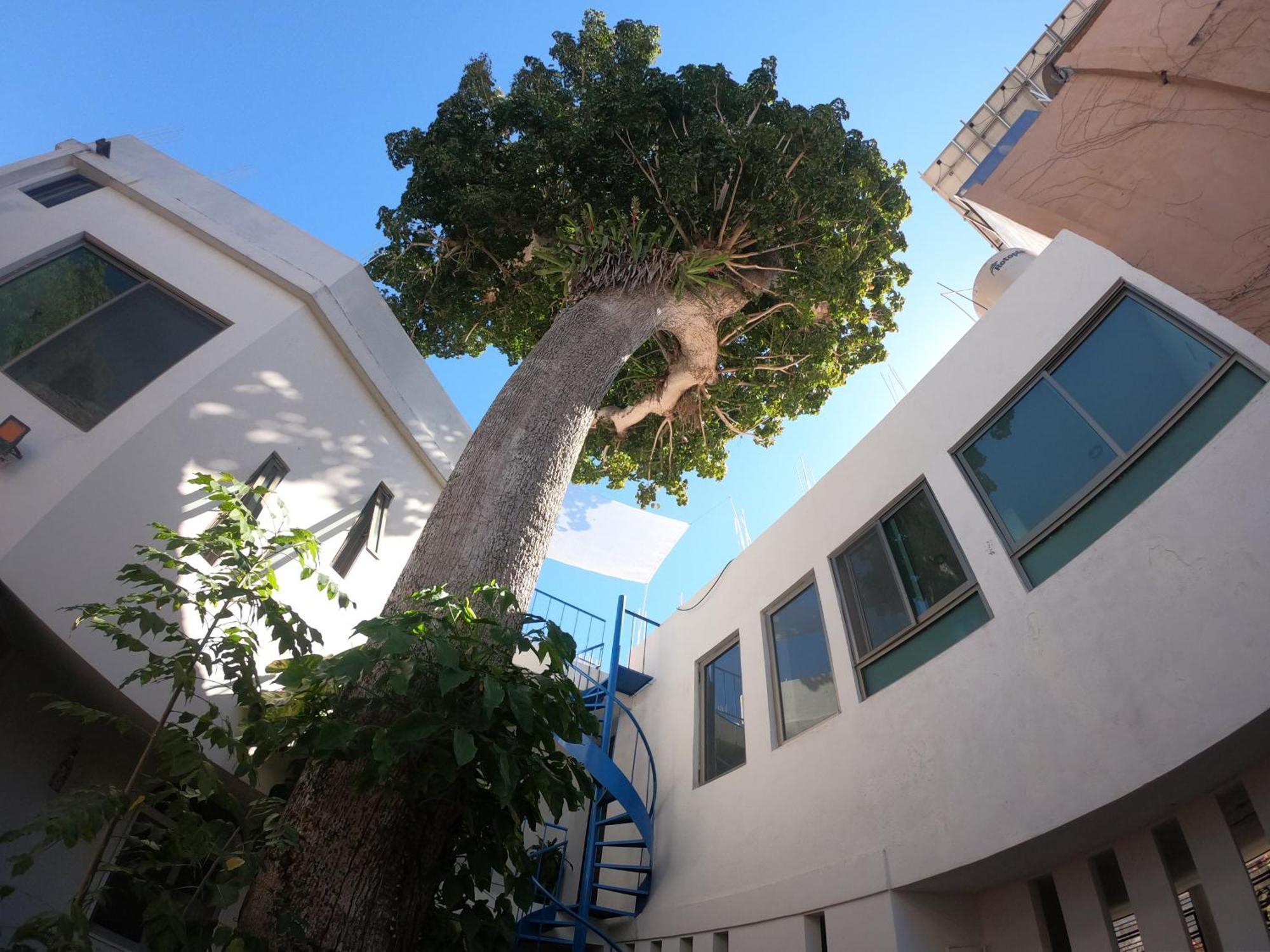 Casa Arbol De Paz Habitacion Doble 恰卡拉 外观 照片